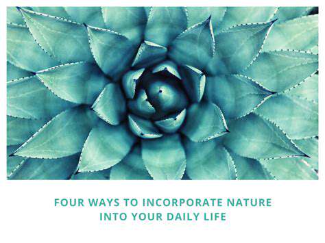 How Spending Time in Nature Can Improve Imagination and Creativity in Children and Adults