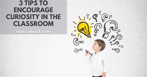 Encouraging Curiosity as a Foundation for Lifelong Learning