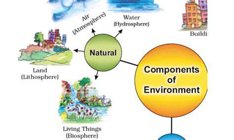 CreatingaCalmHaven:PracticalTipsfortheHomeEnvironment