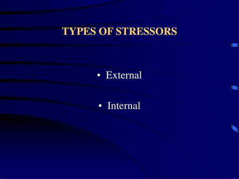 CreatingaSafetyZone:MinimizingExternalStressors