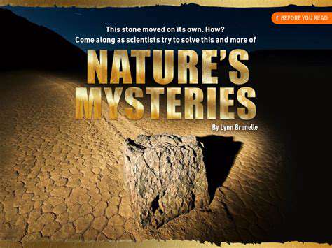 CultivatingaSenseofWonder:ExploringNature'sMysteries