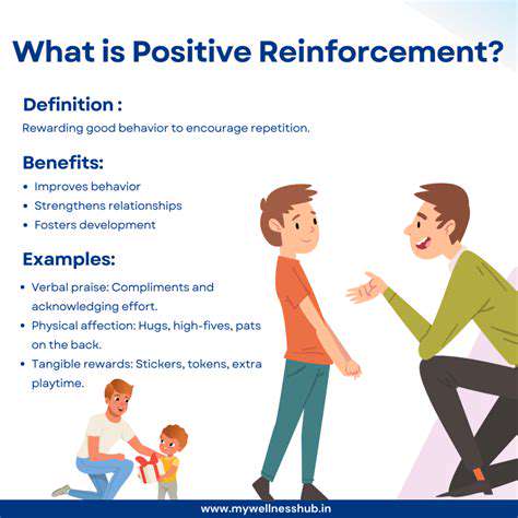 Navigating Challenging Behaviors: A Positive Approach to Discipline