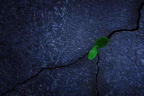 Teaching Resilience Through Storytelling: Inspiring Courage