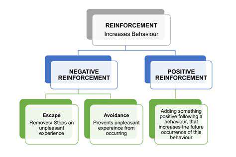 PositiveReinforcementandGradualAdjustment