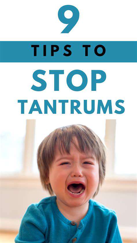 PreventingTantrums:ProactiveStrategiesforaCalmerHome