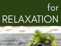 Gentle Approaches to Separation Anxiety